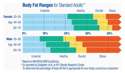 Healthy+body+fat+percentage+for+athletes