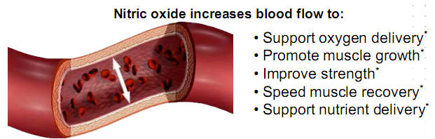 nitric oxide graphic